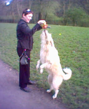 Berkeley determined not to lose his grip on some random plastic toy he found